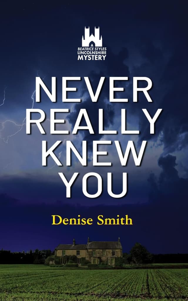 Never Really Knew You cover